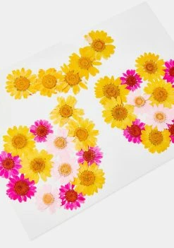 Neva Nude Pink & Yellow Flower Pasties