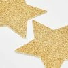 Neva Nude Gold Star Glitter Pasties