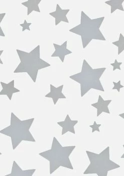 Neva Nude Reflective 35 Star Bundle Pasties