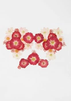 Neva Nude Red Pink Flowers Pasties 3 Neva Nude Red Pink Flowers Pasties